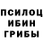 Псилоцибиновые грибы ЛСД Hanna Azovska