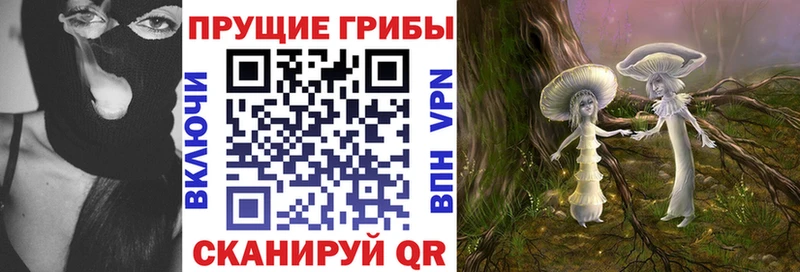 Псилоцибиновые грибы Psilocybine cubensis ОМГ ОМГ маркетплейс Усмань